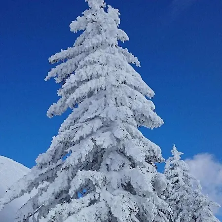 Chalet In Grossarl With Barbecue And Wi-fi Grossarl